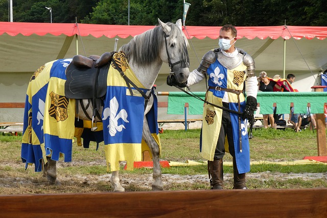 及未来的趋 及未来的趋