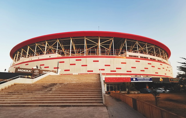 而队中核心 而队中核心