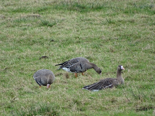 的竞争力 的竞争力