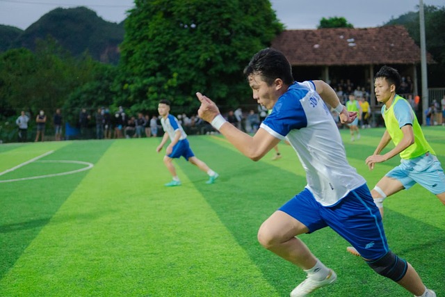 感情与五座 感情与五座