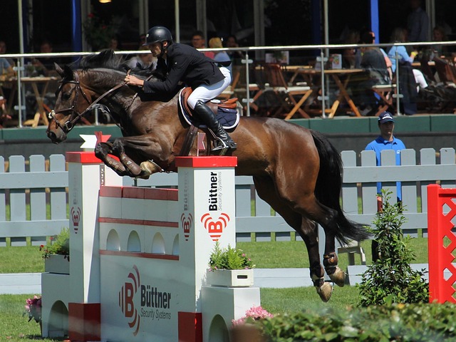 强调对手的 强调对手的