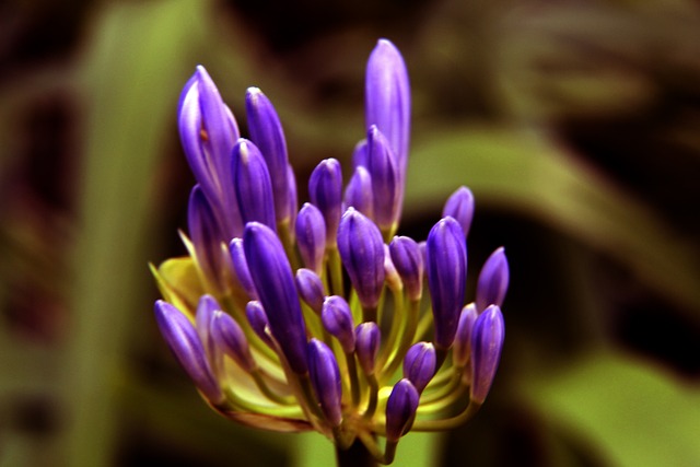 成長往往比 成長往往比